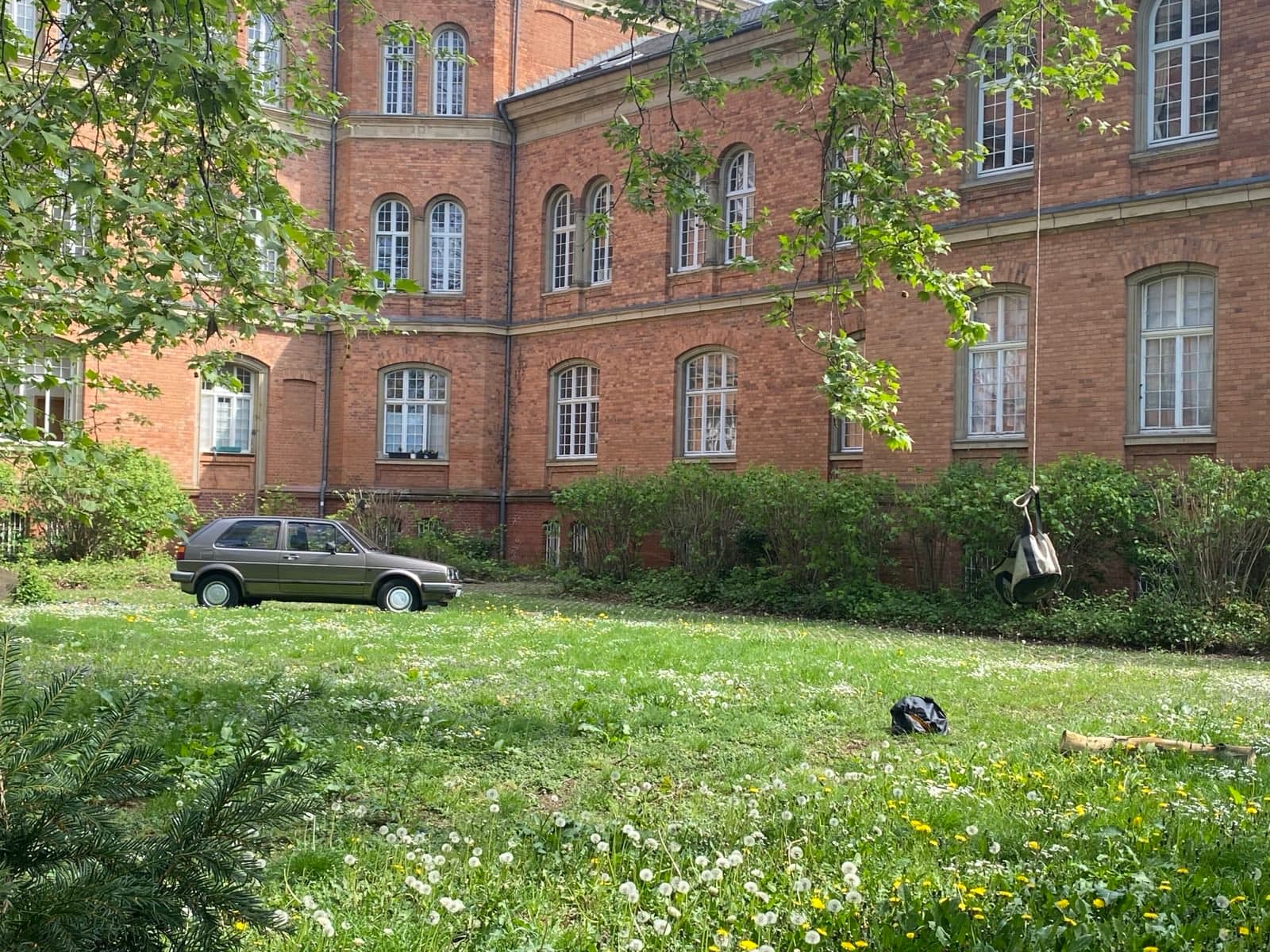 Baumpflege Bonn - Professionelle Baumpflege